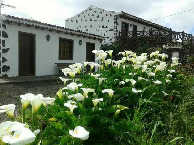 Casa Rural Monte Del Agua Guest House Los Silos Ruang foto