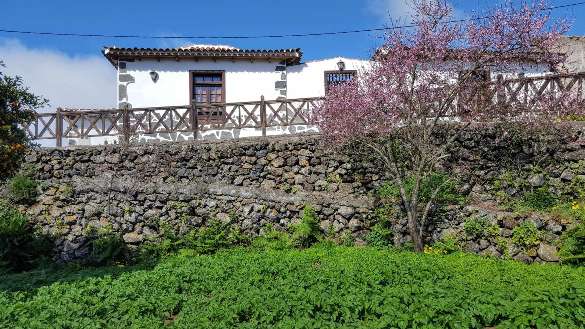 Casa Rural Monte Del Agua Guest House Los Silos Bagian luar foto